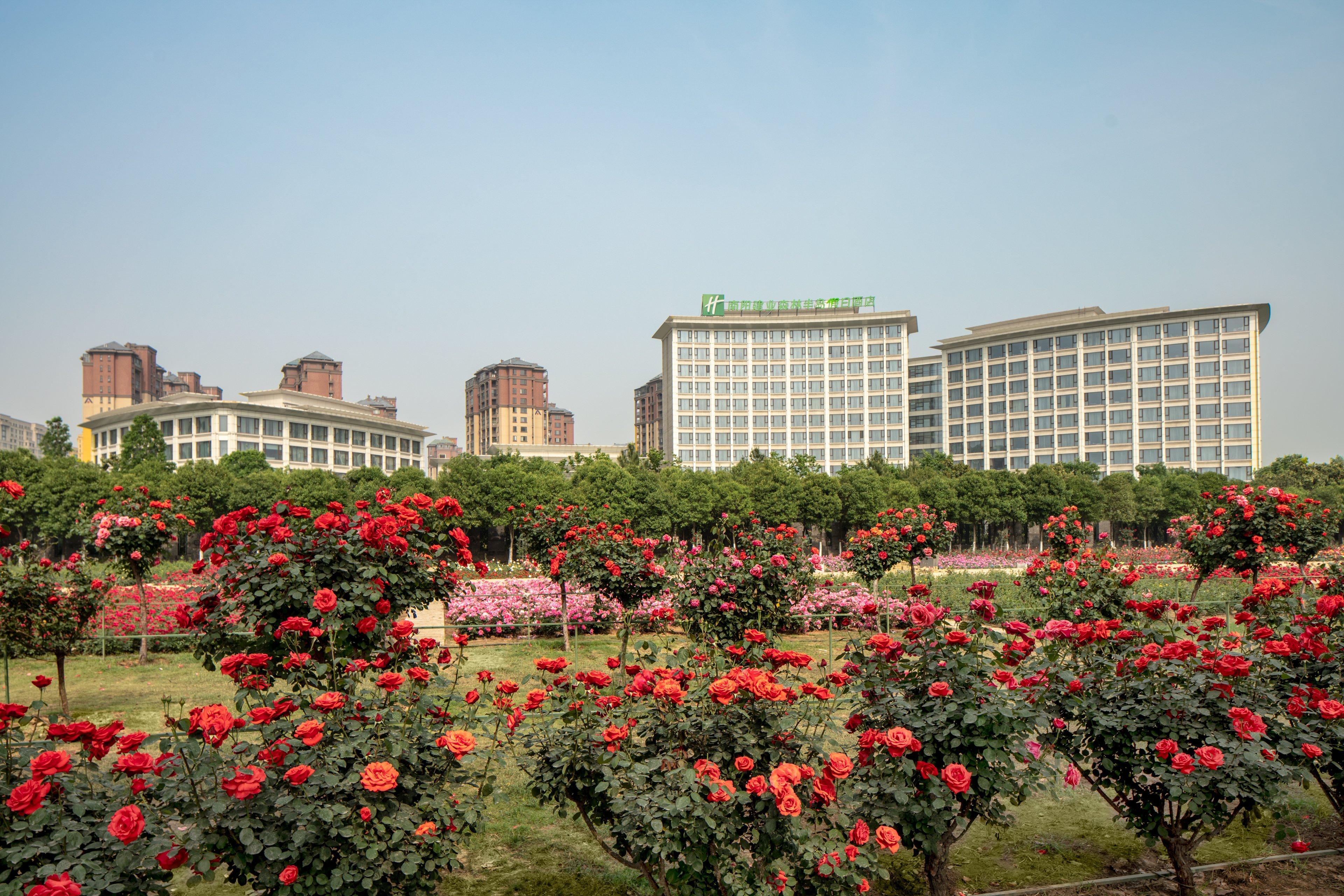 Holiday Inn Nanyang By Ihg Εξωτερικό φωτογραφία