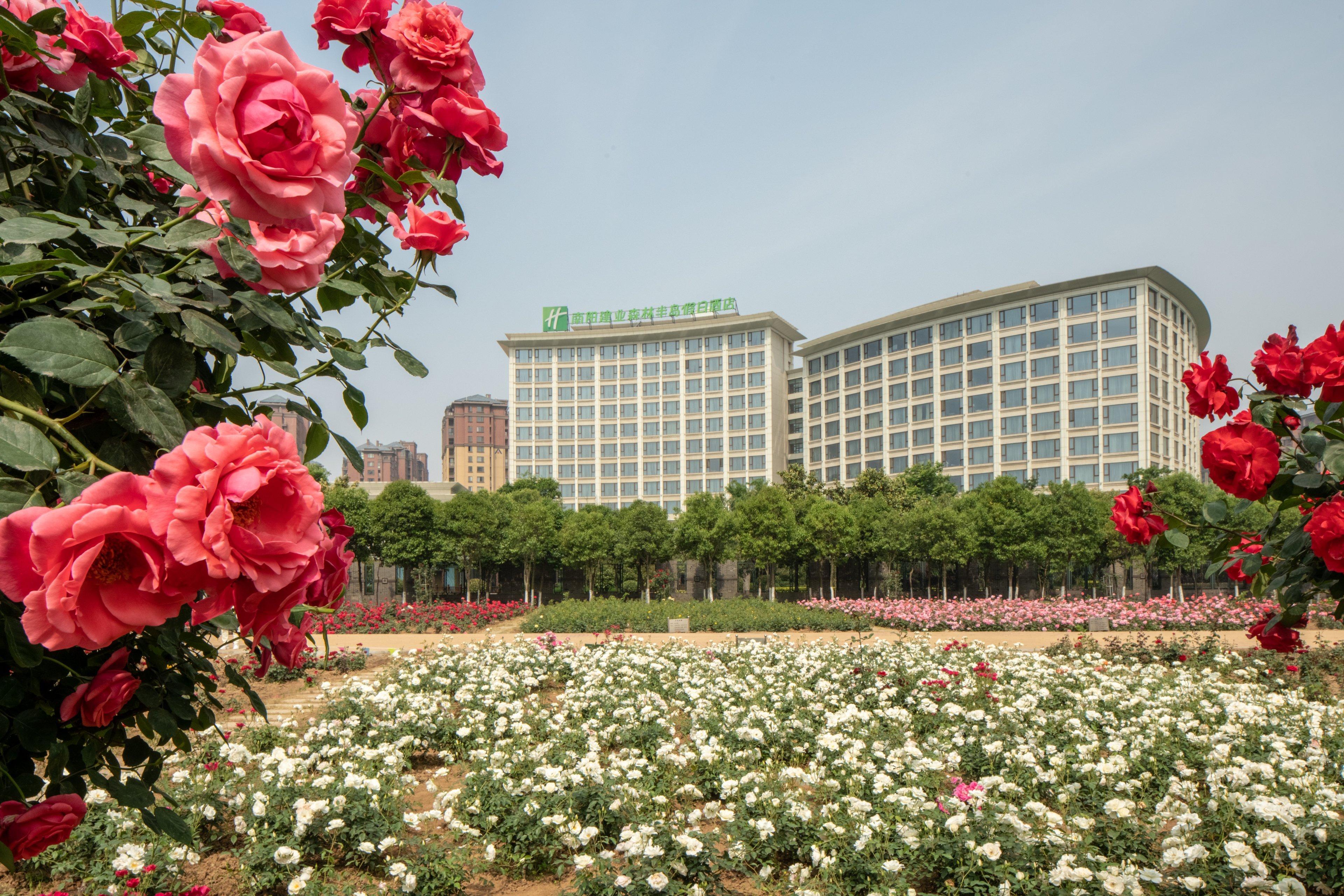 Holiday Inn Nanyang By Ihg Εξωτερικό φωτογραφία